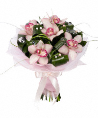 Piccolo amore Piccolo amore